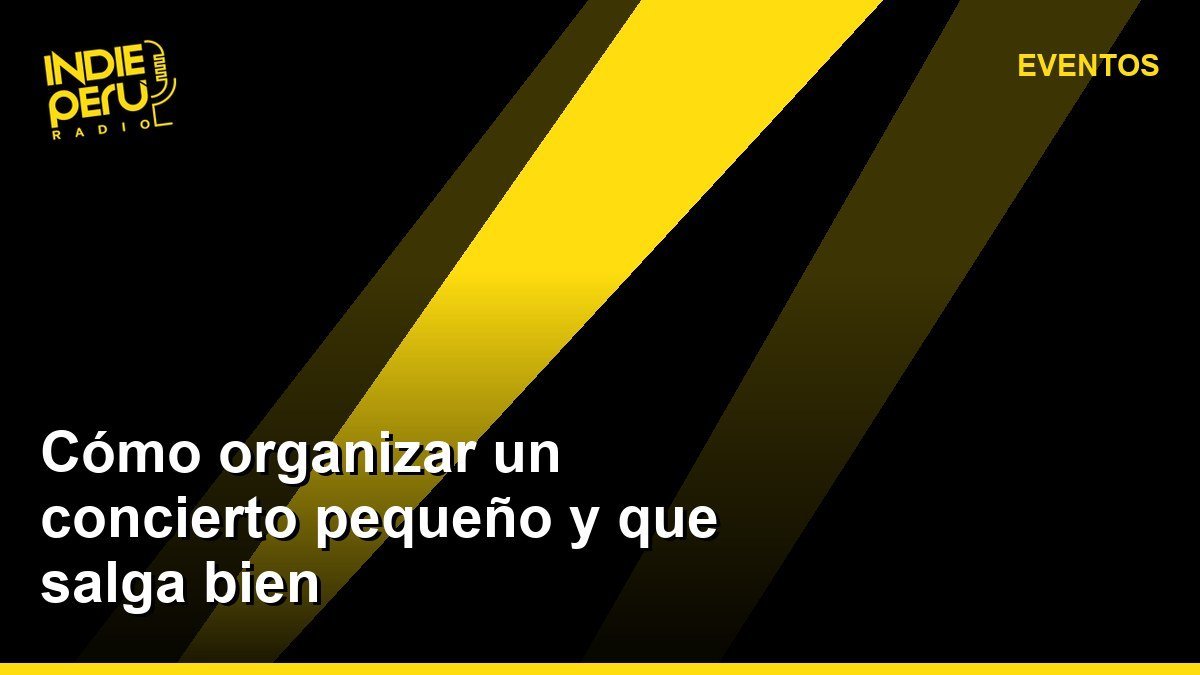 Cómo organizar un concierto pequeño y que salga bien